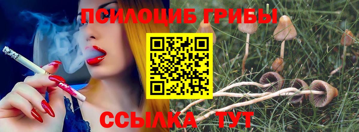 Кубинка  Галлюциногенные грибы Cubensis  Псилоцибиновые грибы Cubensis  Вход с VPN 